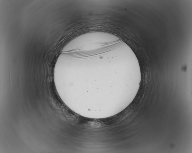 X0000115480272200912041000