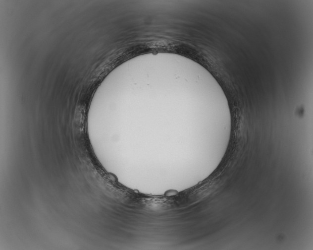 X0000115480273200912041000