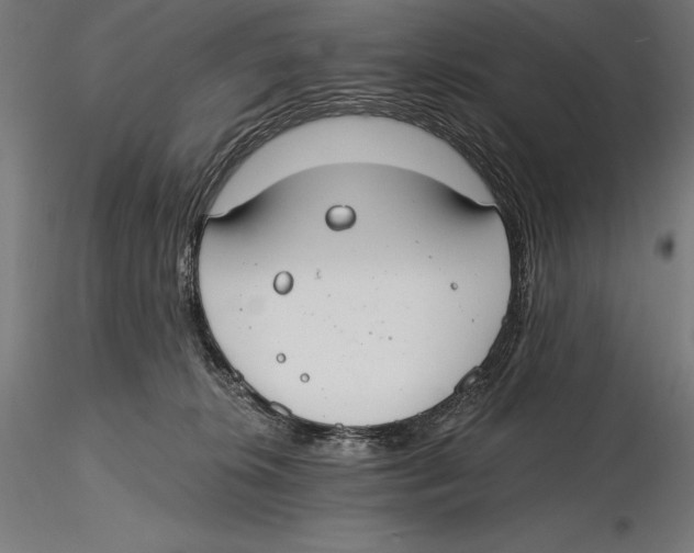 X0000115480276200912041000