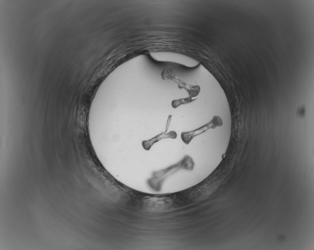 X0000115480277200912041000