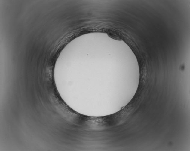 X0000115480278200912041000