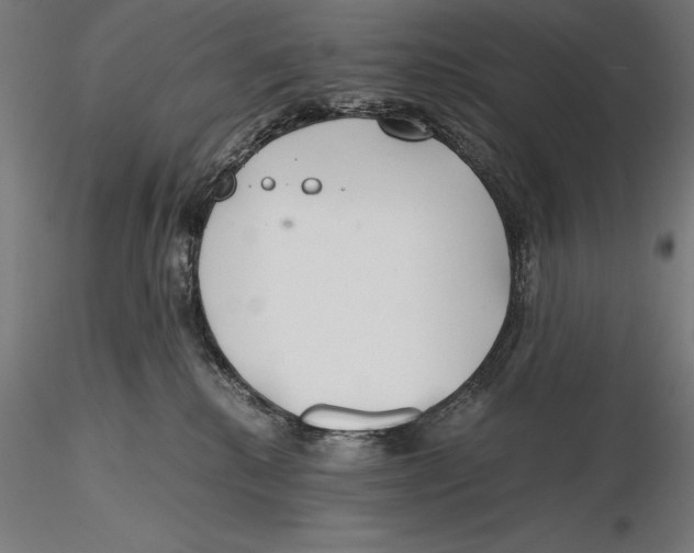 X0000115480280200912041000