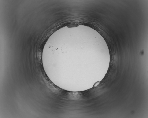X0000115480281200912041000