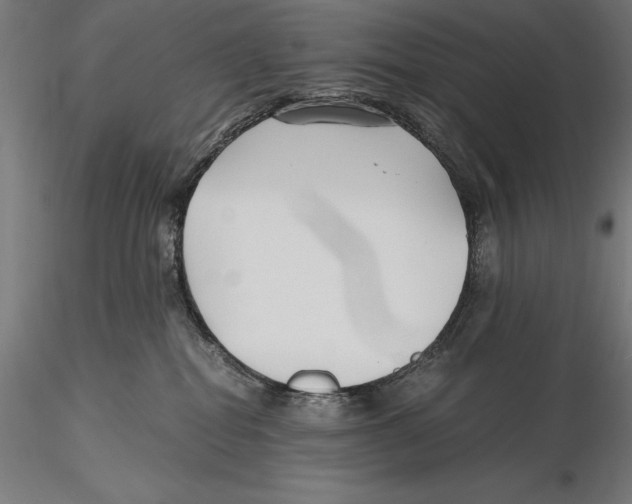X0000115480282200912041000