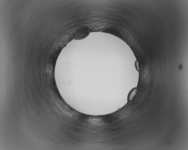 X0000115480283200912041000