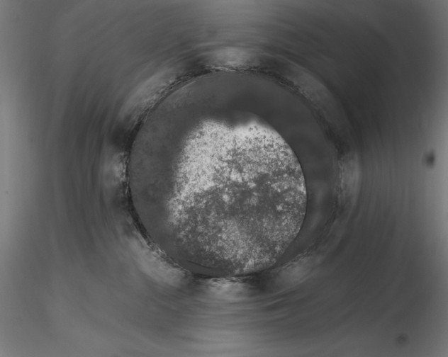 X0000115480284200912041000