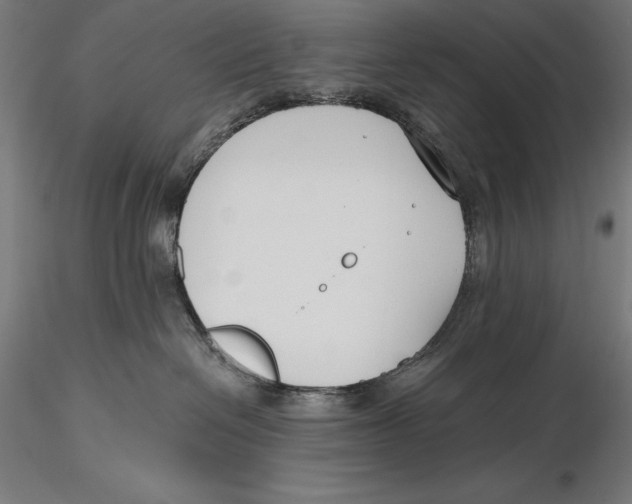 X0000115480286200912041000