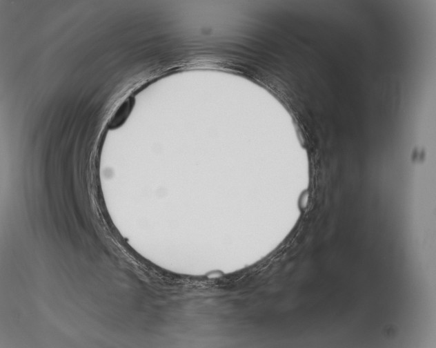 X0000115480289200912040959