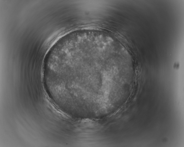 X0000115480290200912040959