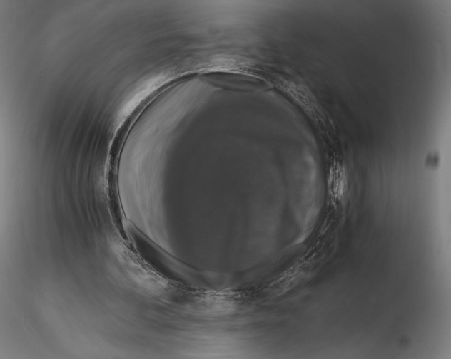 X0000115480292200912040959