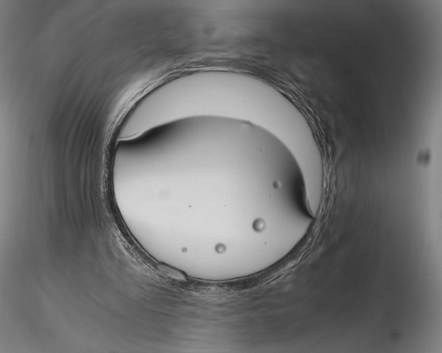X0000115480293200912040959