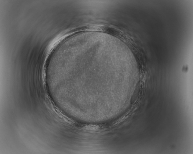 X0000115480294200912040959