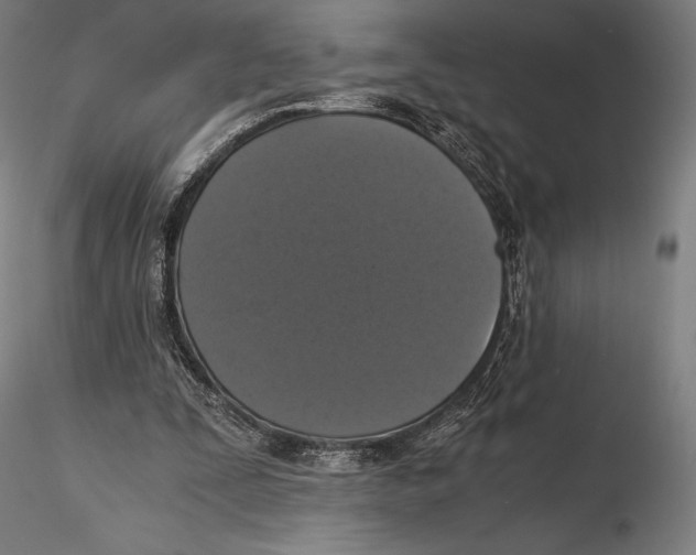 X0000115480295200912040959