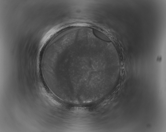 X0000115480296200912040959