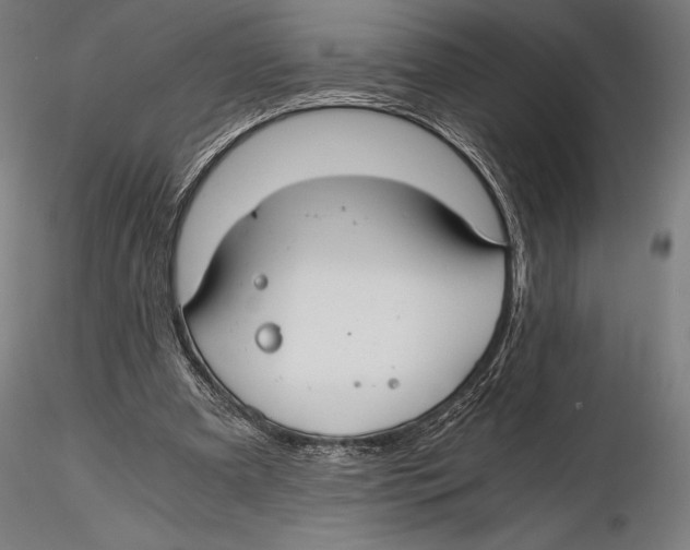 X0000115480297200912040959