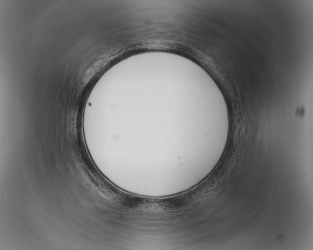 X0000115480299200912040959