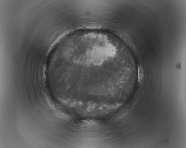 X0000115480300200912040959