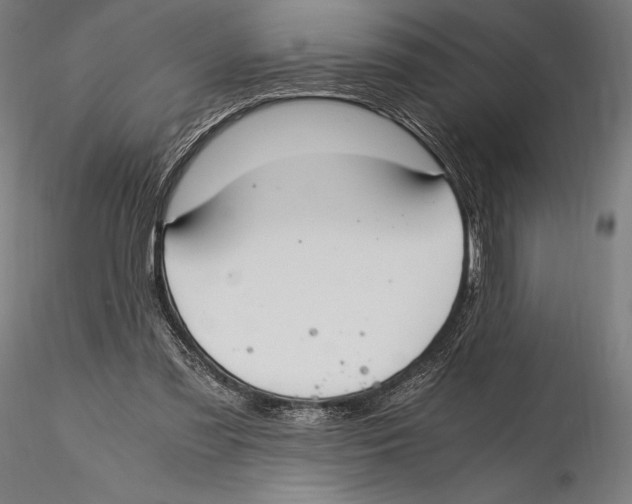 X0000115480301200912040959