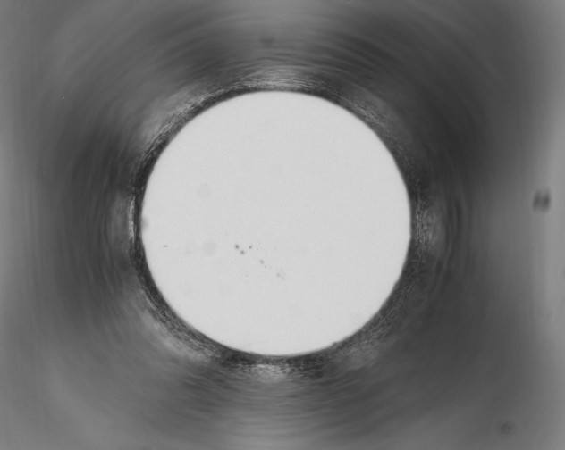 X0000115480302200912040959
