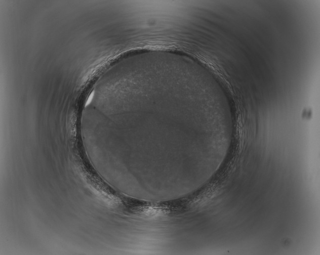 X0000115480303200912040959