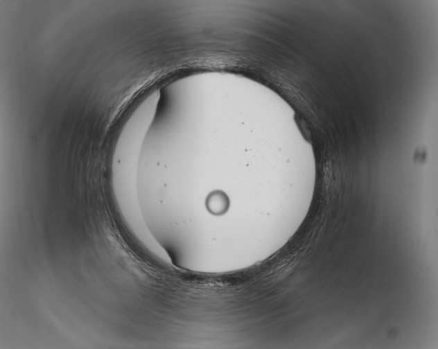 X0000115480304200912040959