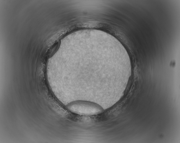 X0000115480305200912040959