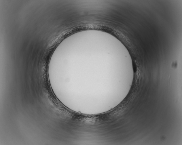 X0000115480306200912040959