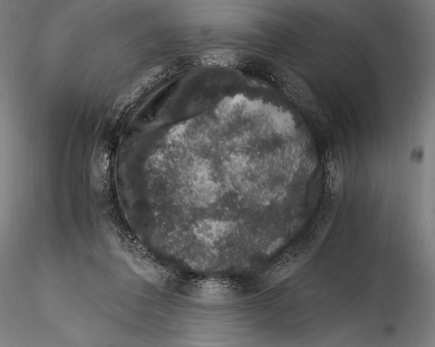 X0000115480308200912040959