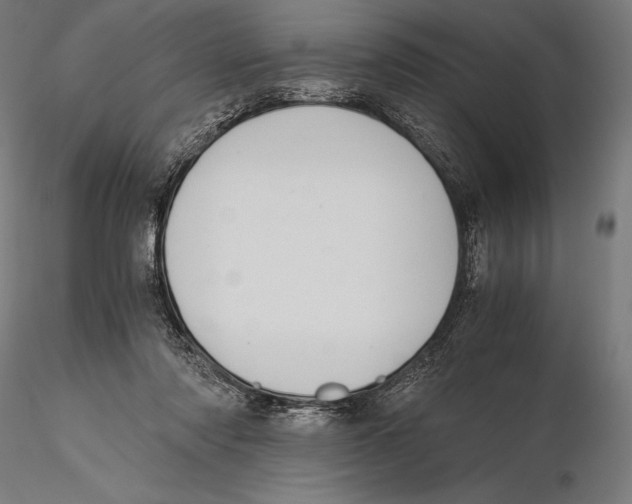 X0000115480310200912040959