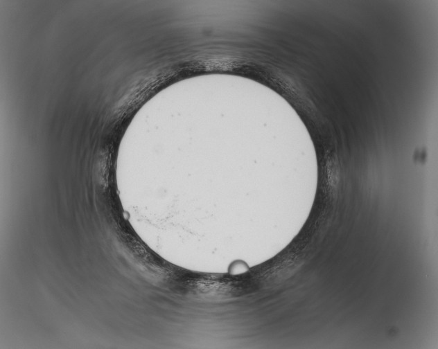 X0000115480311200912040959