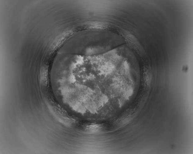 X0000115480312200912040959