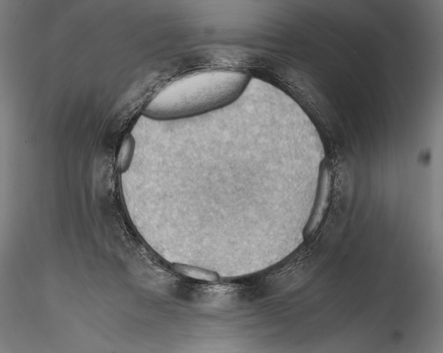 X0000115480313200912040959