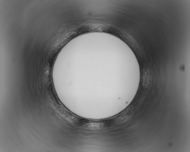 X0000115480314200912040959