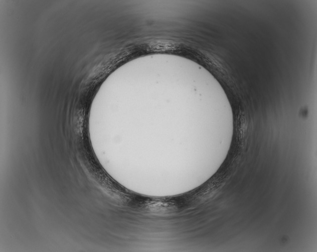 X0000115480315200912040959