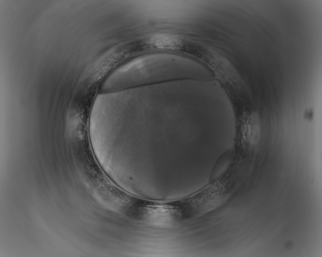 X0000115480316200912040959