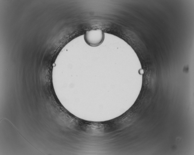 X0000115480317200912040959