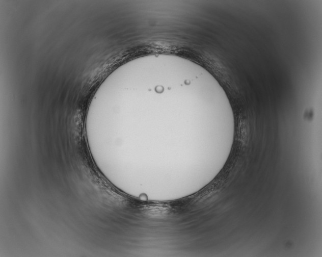 X0000115480318200912040959