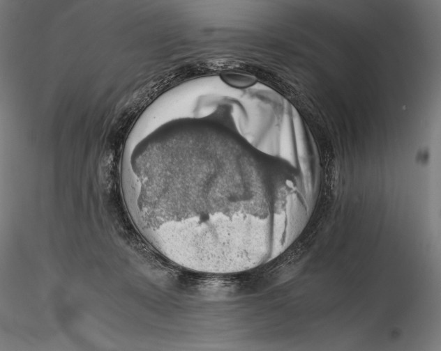 X0000115480319200912040959