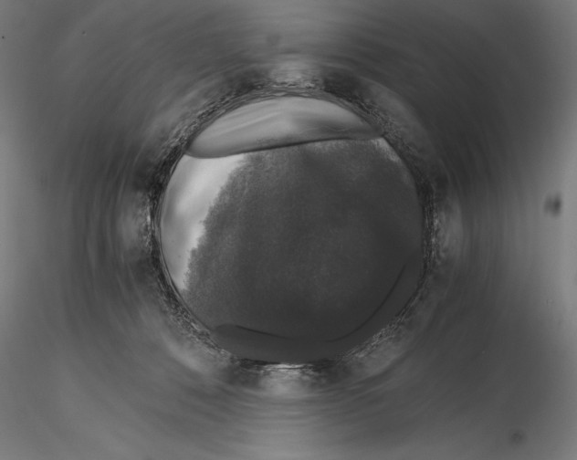 X0000115480320200912040959