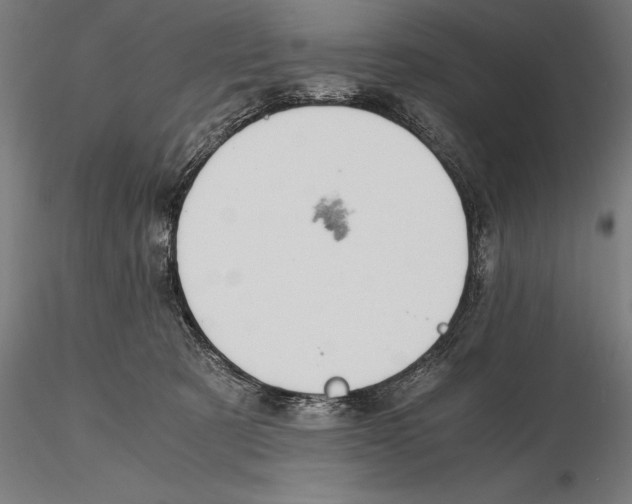 X0000115480321200912040959