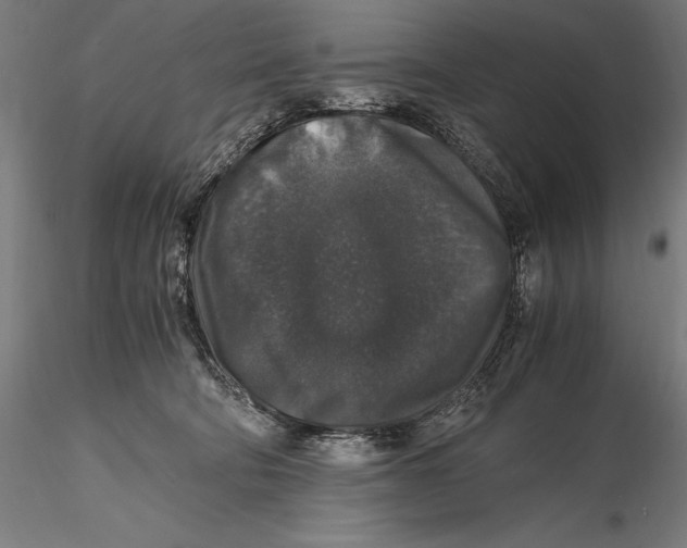 X0000115480322200912040959