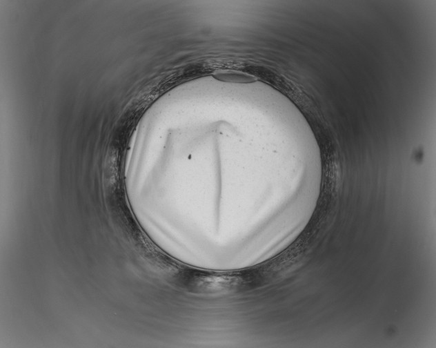 X0000115480323200912040959