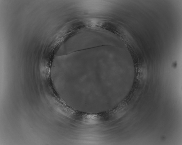X0000115480324200912040959