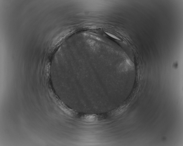 X0000115480325200912040958
