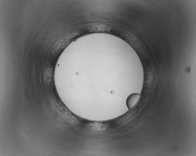 X0000115480326200912040958