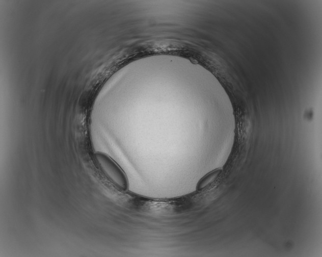 X0000115480327200912040958