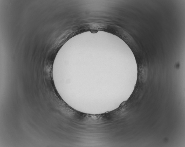 X0000115480329200912040958