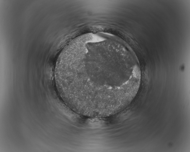 X0000115480331200912040958