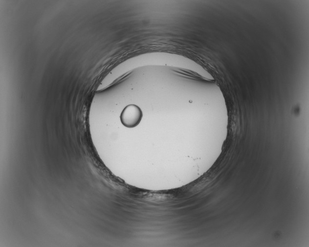 X0000115480332200912040958