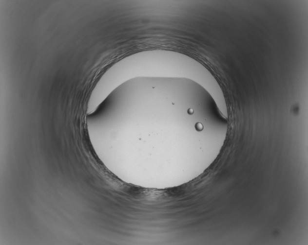 X0000115480333200912040958